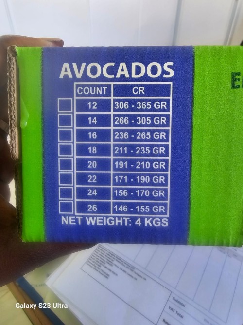 Avocado, Fresh